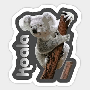 Koala Sticker